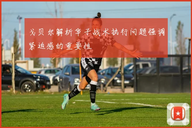 戈贝尔解析华子战术执行问题强调紧迫感的重要性